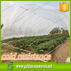 17gr Agriculture Nonwoven Weed Control Fabric black made by Quanzhou Golden Nonwoven Co.,ltd
