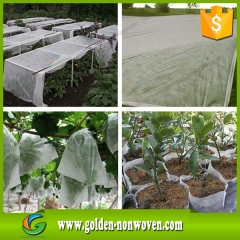 Tissu non tissé en serre agricole faite par Quanzhou Golden Nonwoven Co., ltd