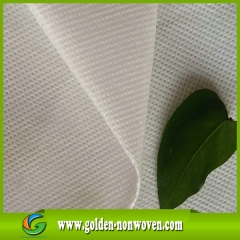 Tissu de 100% d'ANIMAL FAMILIER de polyester de sac à provisions faite par Quanzhou Golden Nonwoven Co., ltd