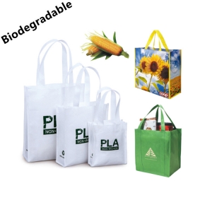 Eco-Friendly Nonwoven Bag